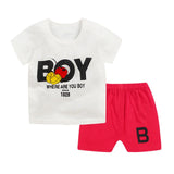 Baby Set t-shirt+short Pant 2 pcs Set Summer Clothes Newborn Boy Clothes Girl Cartoon Cotton Baby Suit (Shirt+Pants) 0-24M